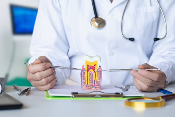 Best Broken or Chipped Tooth Repair in West Columbia, SC